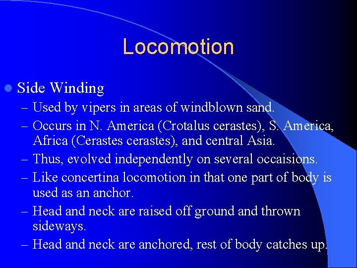 Locomotion l Side Winding – Used by vipers in areas of windblown sand. –