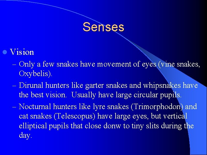 Senses l Vision – Only a few snakes have movement of eyes (vine snakes,