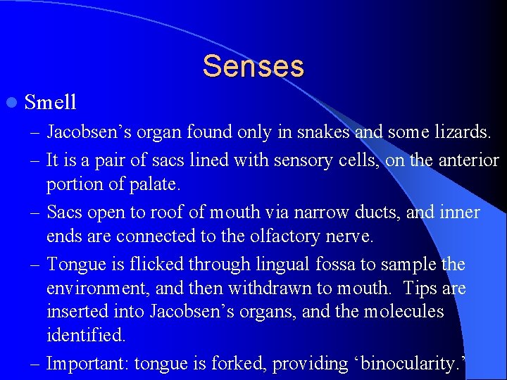 Senses l Smell – Jacobsen’s organ found only in snakes and some lizards. –