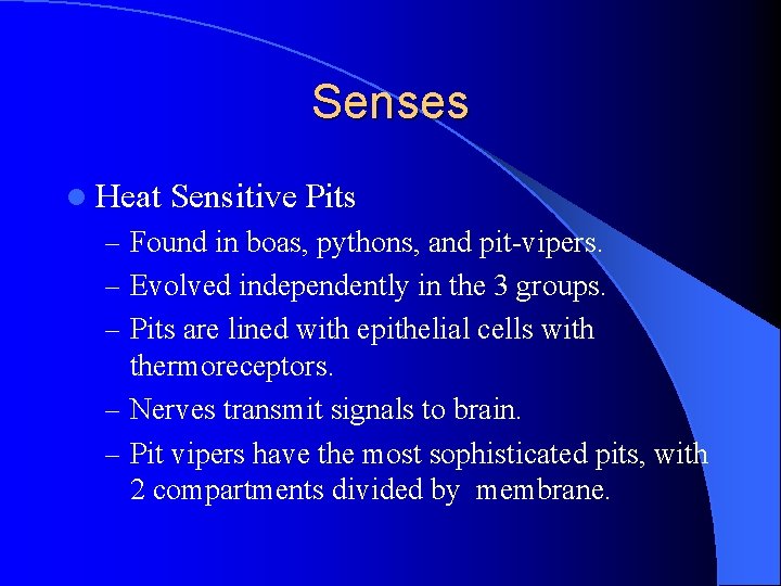 Senses l Heat Sensitive Pits – Found in boas, pythons, and pit-vipers. – Evolved