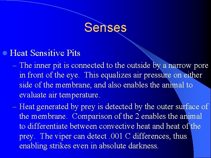 Senses l Heat Sensitive Pits – The inner pit is connected to the outside