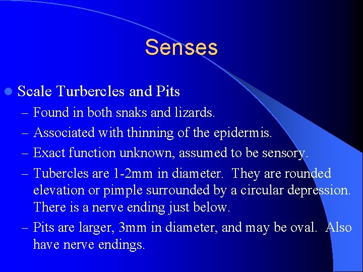 Senses l Scale Turbercles and Pits – Found in both snaks and lizards. –