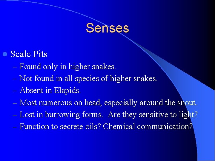 Senses l Scale Pits – Found only in higher snakes. – Not found in