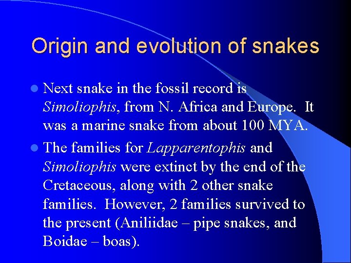 Origin and evolution of snakes l Next snake in the fossil record is Simoliophis,