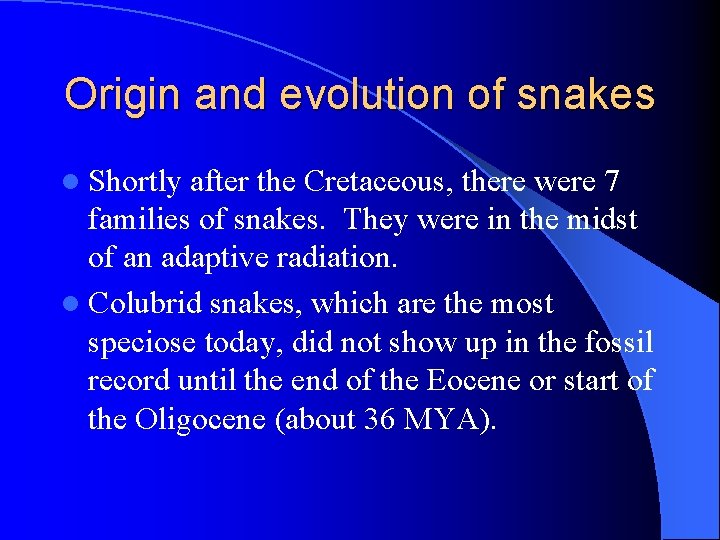 Origin and evolution of snakes l Shortly after the Cretaceous, there were 7 families