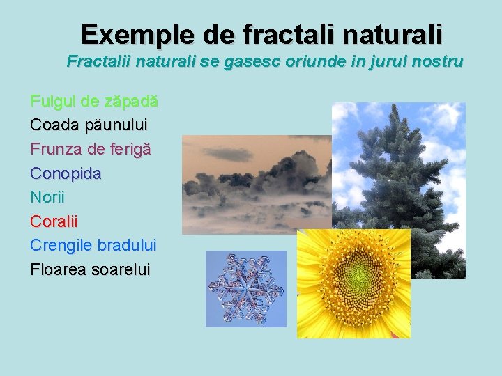 Exemple de fractali naturali Fractalii naturali se gasesc oriunde in jurul nostru Fulgul de