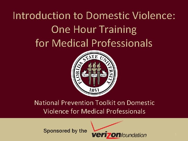 Introduction to Domestic Violence: One Hour Training for Medical Professionals National Prevention Toolkit on