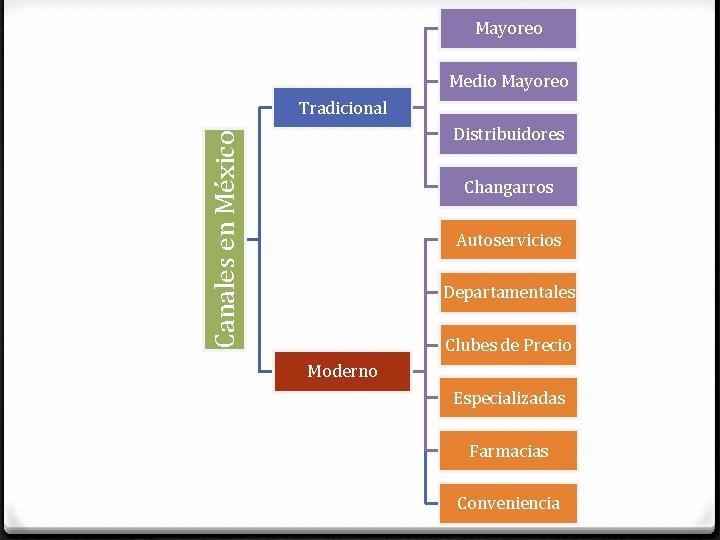 Mayoreo Medio Mayoreo Tradicional Canales en México Distribuidores Changarros Autoservicios Departamentales Clubes de Precio