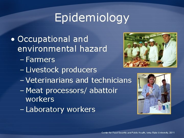 Epidemiology • Occupational and environmental hazard – Farmers – Livestock producers – Veterinarians and