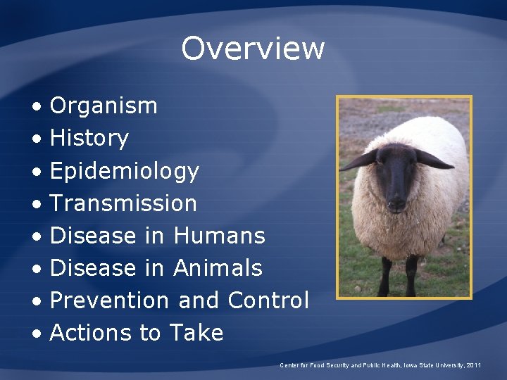 Overview • Organism • History • Epidemiology • Transmission • Disease in Humans •