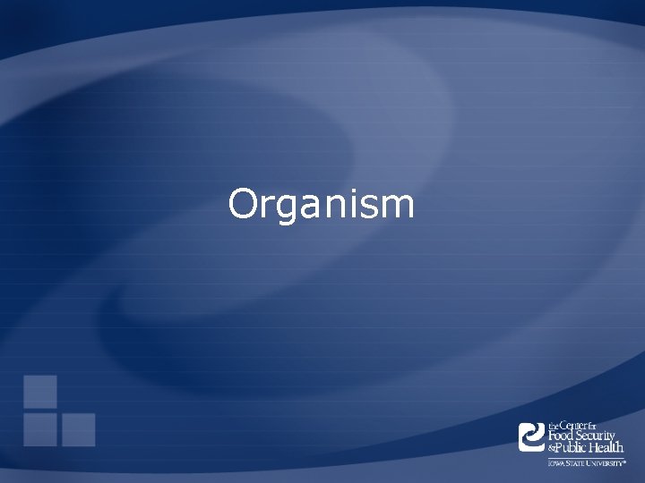 Organism 