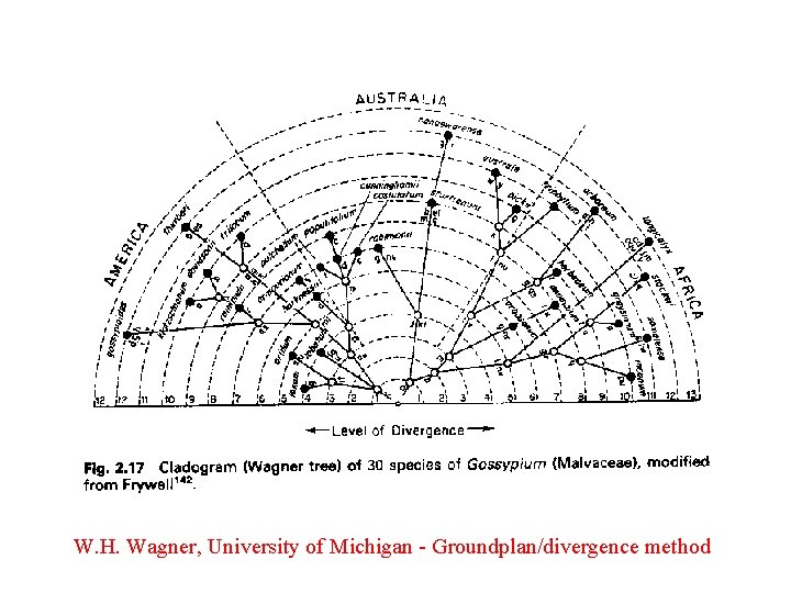 W. H. Wagner, University of Michigan - Groundplan/divergence method 