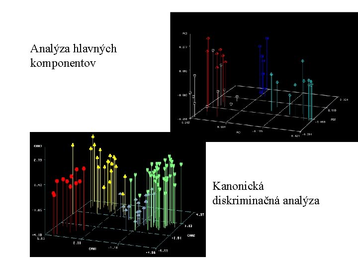 Analýza hlavných komponentov Kanonická diskriminačná analýza 
