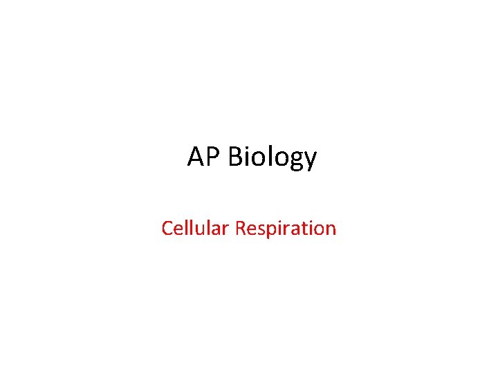 AP Biology Cellular Respiration 