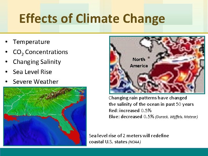 Effects of Climate Change • • • Temperature CO 2 Concentrations Changing Salinity Sea