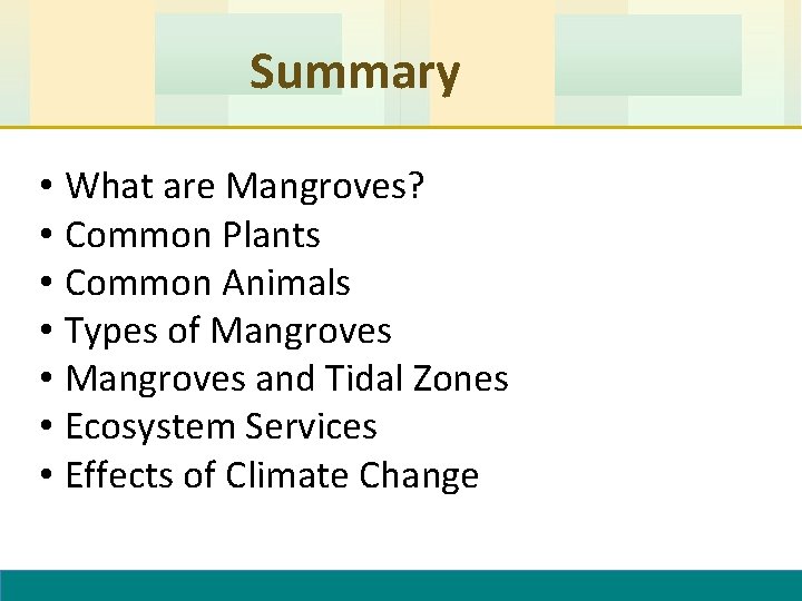 Summary • What are Mangroves? • Common Plants • Common Animals • Types of