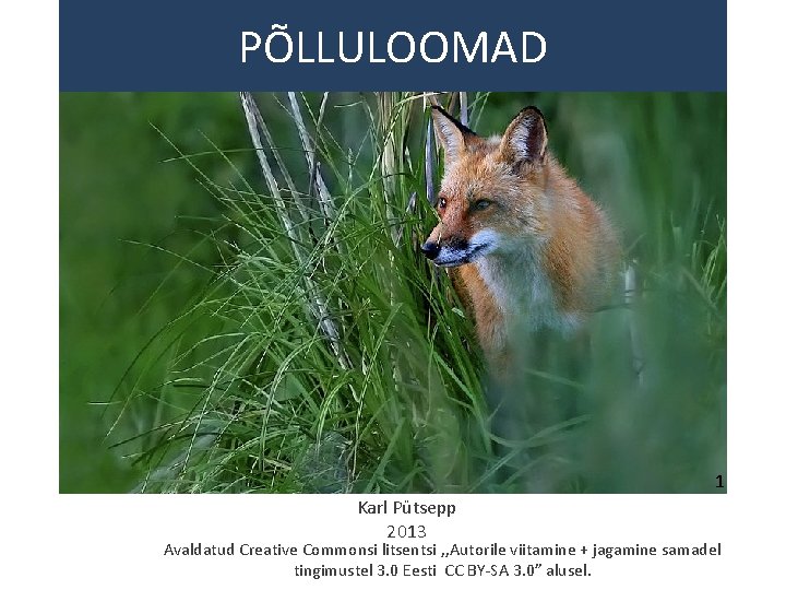 PÕLLULOOMAD 1 Karl Pütsepp 2013 Avaldatud Creative Commonsi litsentsi , , Autorile viitamine +