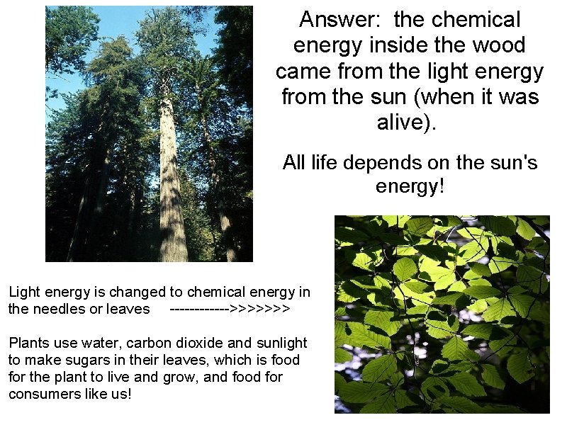 Answer: the chemical energy inside the wood came from the light energy from the