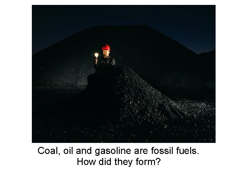 Coal, oil and gasoline are fossil fuels. How did they form? 