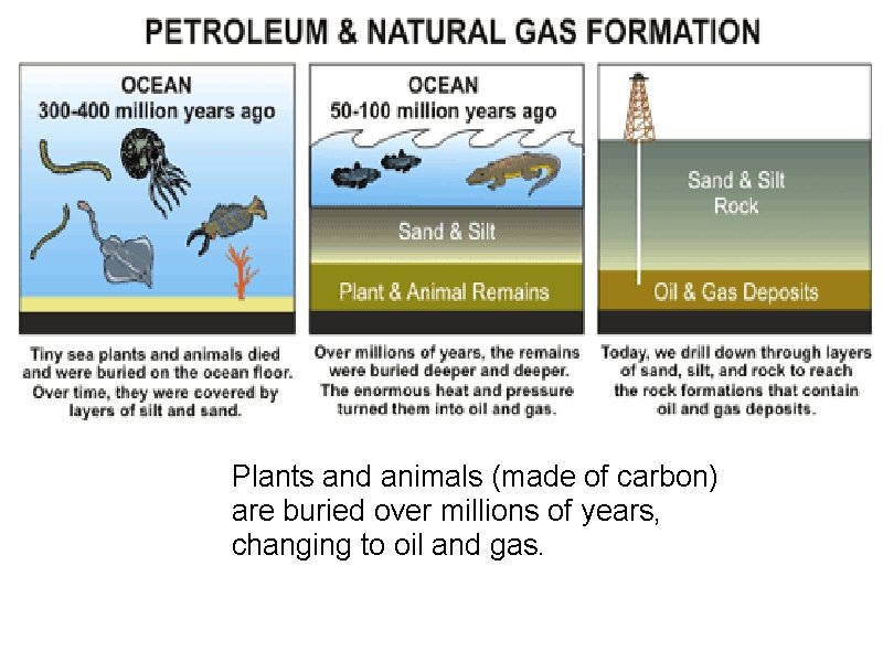 Plants and animals (made of carbon) are buried over millions of years, changing to