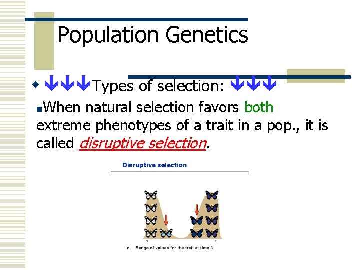 Population Genetics w Types of selection: When natural selection favors both extreme phenotypes of
