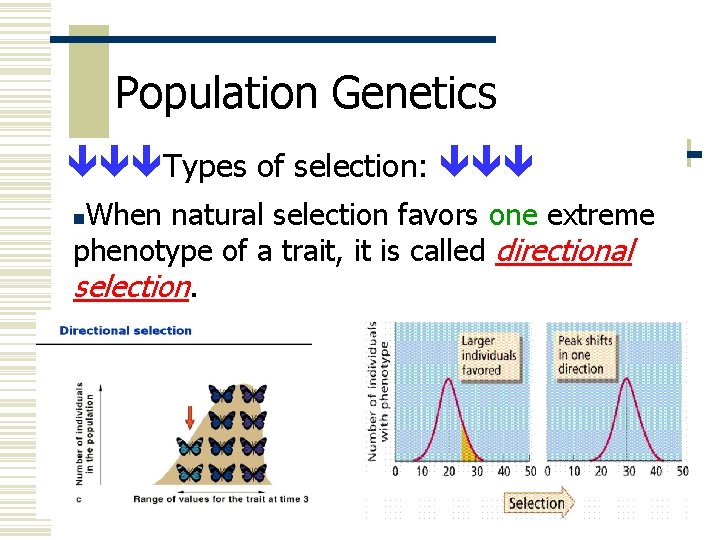 Population Genetics Types of selection: When natural selection favors one extreme phenotype of a