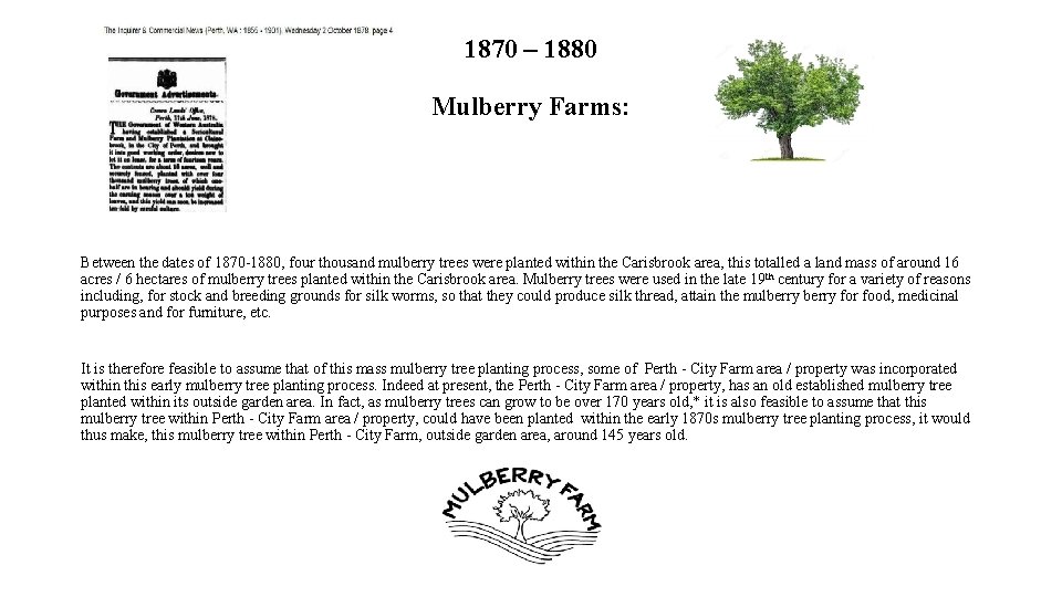 1870 – 1880 Mulberry Farms: Between the dates of 1870 -1880, four thousand mulberry