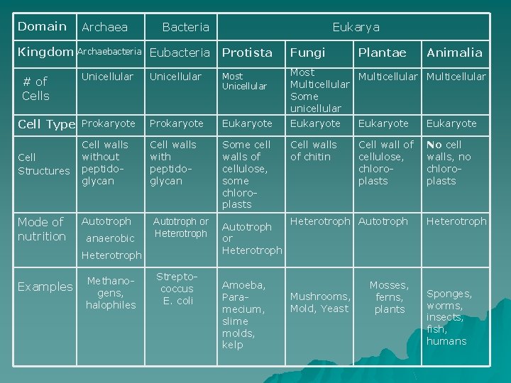 Domain Archaea Bacteria Kingdom Archaebacteria Eukarya Protista Fungi Plantae Animalia Most Multicellular Some unicellular Domain Archaea Bacteria Kingdom Archaebacteria Eukarya Protista Fungi Plantae Animalia Most Multicellular Some unicellular