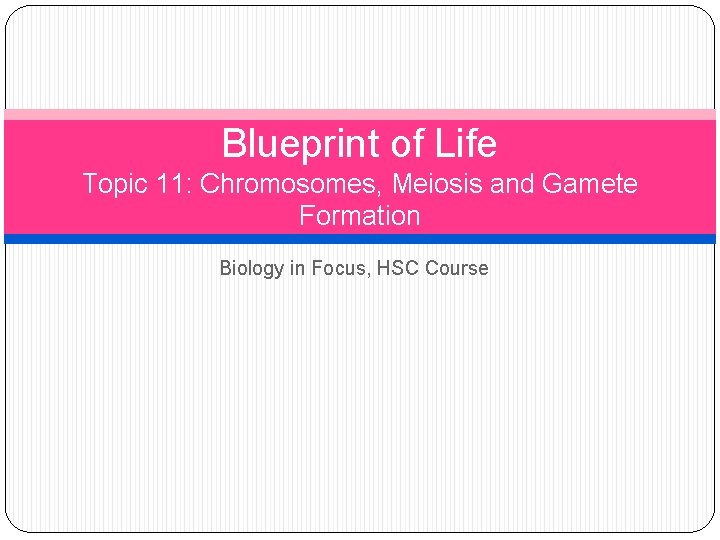 Blueprint of Life Topic 11: Chromosomes, Meiosis and Gamete Formation Biology in Focus, HSC