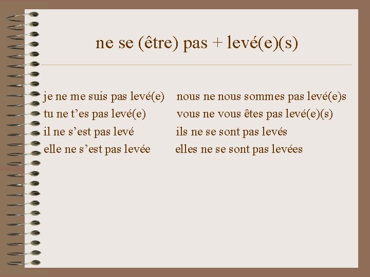 ne se (être) pas + levé(e)(s) je ne me suis pas levé(e) nous ne