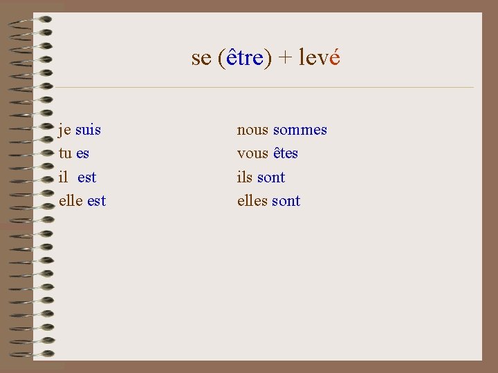 se (être) + levé je suis tu es il est elle est nous sommes