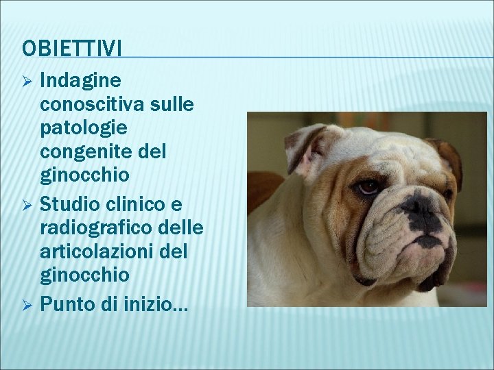 OBIETTIVI Indagine conoscitiva sulle patologie congenite del ginocchio Ø Studio clinico e radiografico delle