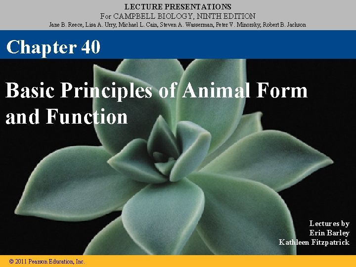 LECTURE PRESENTATIONS For CAMPBELL BIOLOGY, NINTH EDITION Jane B. Reece, Lisa A. Urry, Michael