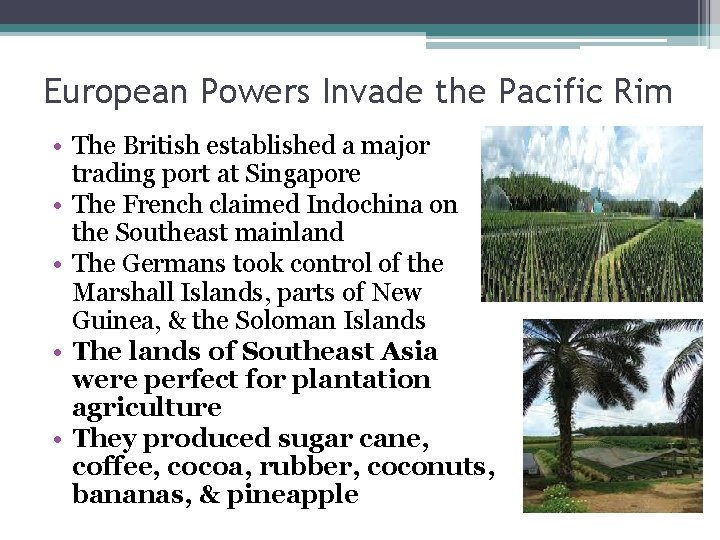 European Powers Invade the Pacific Rim • The British established a major trading port