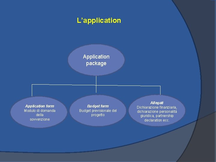 L’application Application package Application form Modulo di domanda della sovvenzione Budget form Budget previsionale