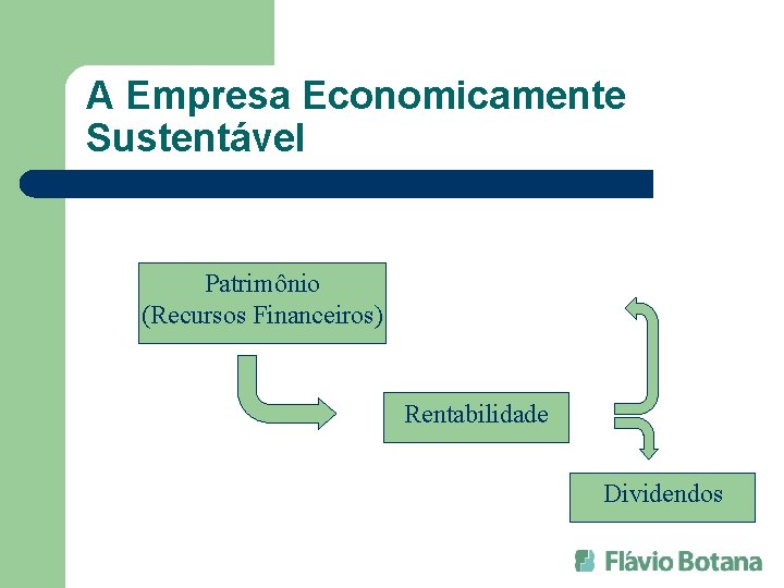 A Empresa Economicamente Sustentável Patrimônio (Recursos Financeiros) Rentabilidade Dividendos 