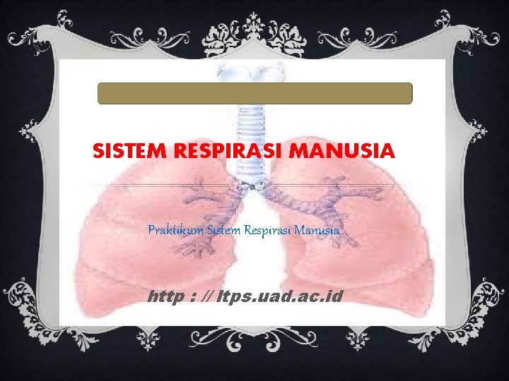 SISTEM RESPIRASI MANUSIA Praktikum Sistem Respirasi Manusia http : // ltps. uad. ac. id SISTEM RESPIRASI MANUSIA Praktikum Sistem Respirasi Manusia http : // ltps. uad. ac. id