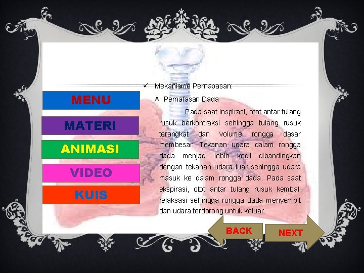 ü Mekanisme Pernapasan: MENU A. Pernafasan Dada Pada saat inspirasi, otot antar tulang MATERI ü Mekanisme Pernapasan: MENU A. Pernafasan Dada Pada saat inspirasi, otot antar tulang MATERI