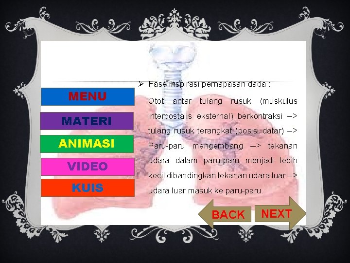 MENU MATERI ANIMASI VIDEO KUIS Ø Fase inspirasi pernapasan dada : Otot antar tulang