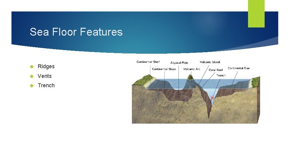 Sea Floor Features Ridges Vents Trench Sea Floor Features Ridges Vents Trench