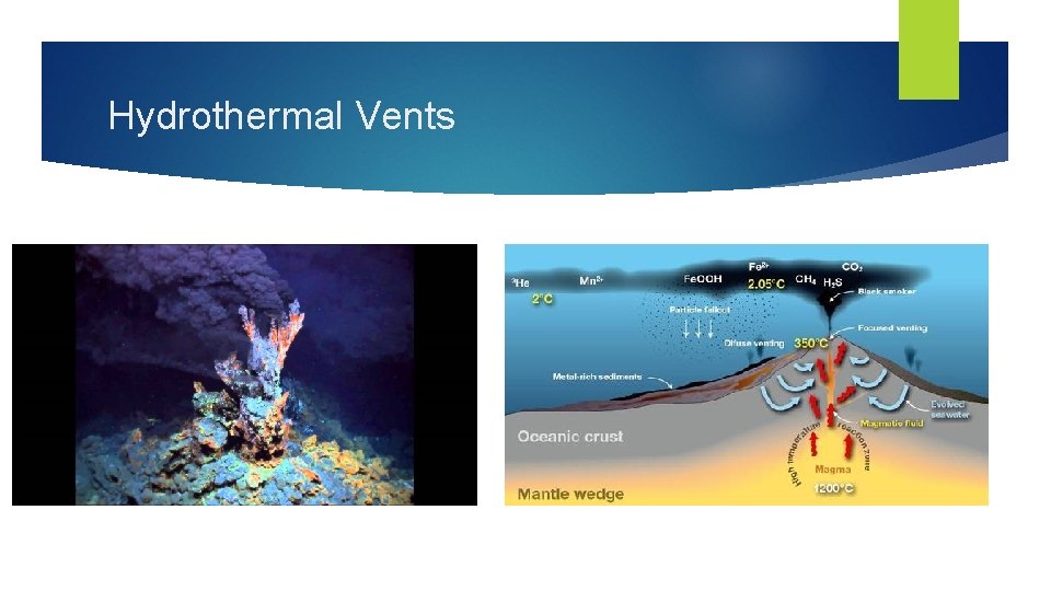Hydrothermal Vents Hydrothermal Vents