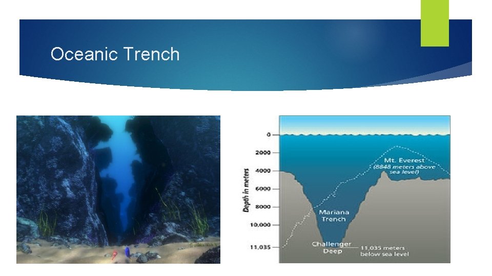 Oceanic Trench Oceanic Trench