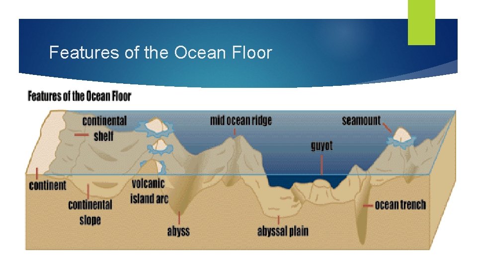 Features of the Ocean Floor Features of the Ocean Floor