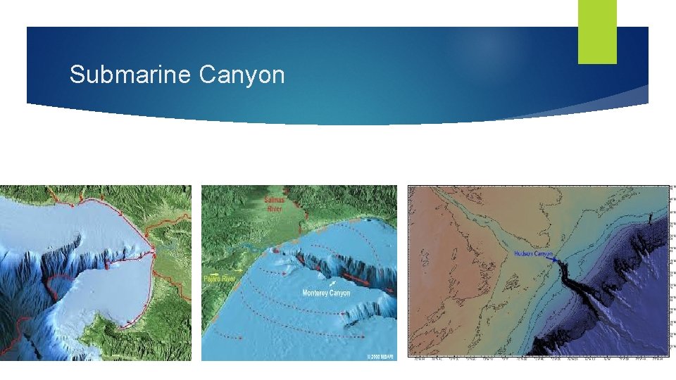 Submarine Canyon Submarine Canyon
