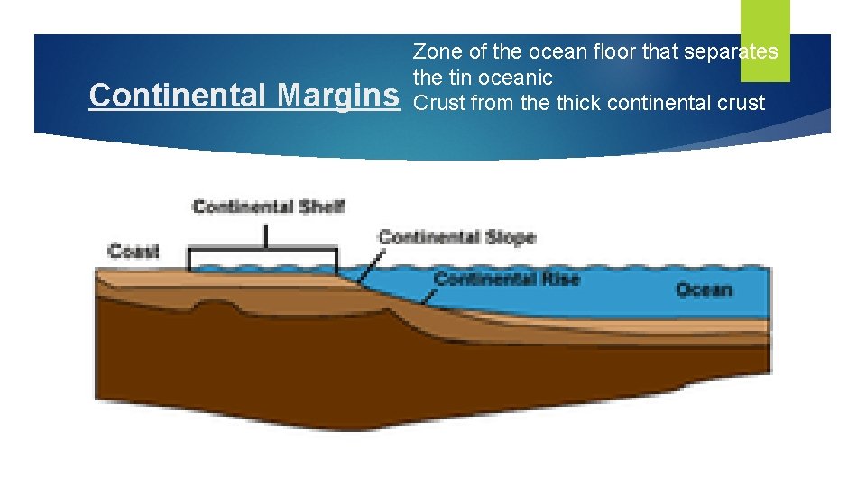 Continental Margins Zone of the ocean floor that separates the tin oceanic Crust from Continental Margins Zone of the ocean floor that separates the tin oceanic Crust from
