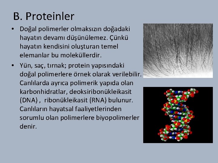 B. Proteinler • Doğal polimerler olmaksızın doğadaki hayatın devamı düşünülemez. Çünkü hayatın kendisini oluşturan