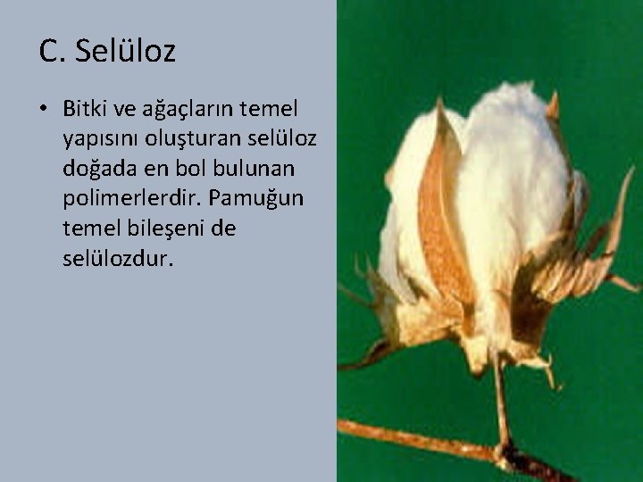 C. Selüloz • Bitki ve ağaçların temel yapısını oluşturan selüloz doğada en bol bulunan