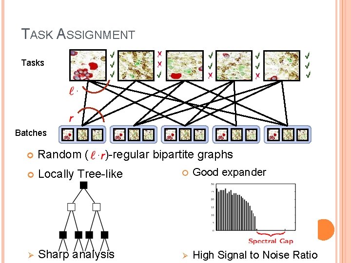 TASK ASSIGNMENT Tasks Batches Random ( , )-regular bipartite graphs Locally Tree-like Good expander