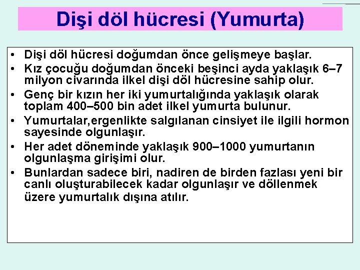 Dişi döl hücresi (Yumurta) • Dişi döl hücresi doğumdan önce gelişmeye başlar. • Kız