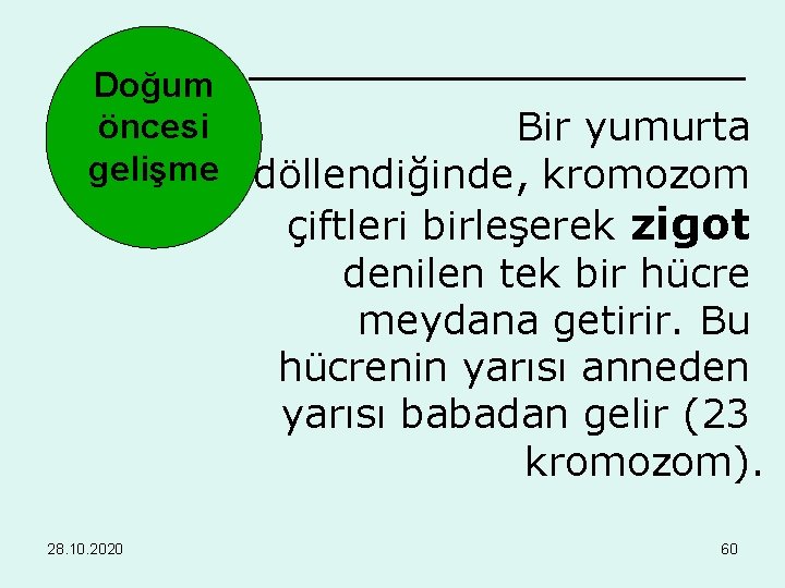 Doğum öncesi Bir yumurta gelişme döllendiğinde, kromozom çiftleri birleşerek zigot denilen tek bir hücre